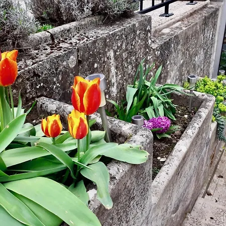L'heure Bleue Nyaraló Orbais