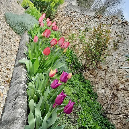 Ferienhaus L'heure Bleue *