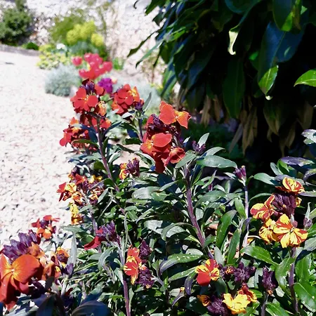 L'heure Bleue Ferienhaus Orbais