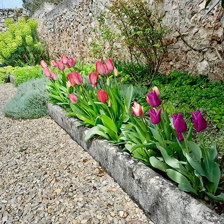 L'heure Bleue Ferienhaus Orbais