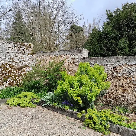 L'heure Bleue * Orbais